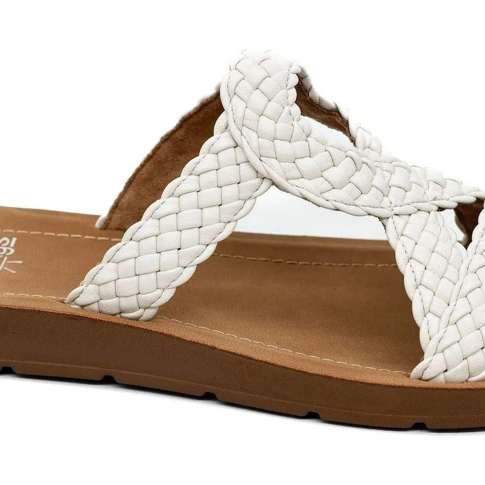 All Tangled Up, Ivory