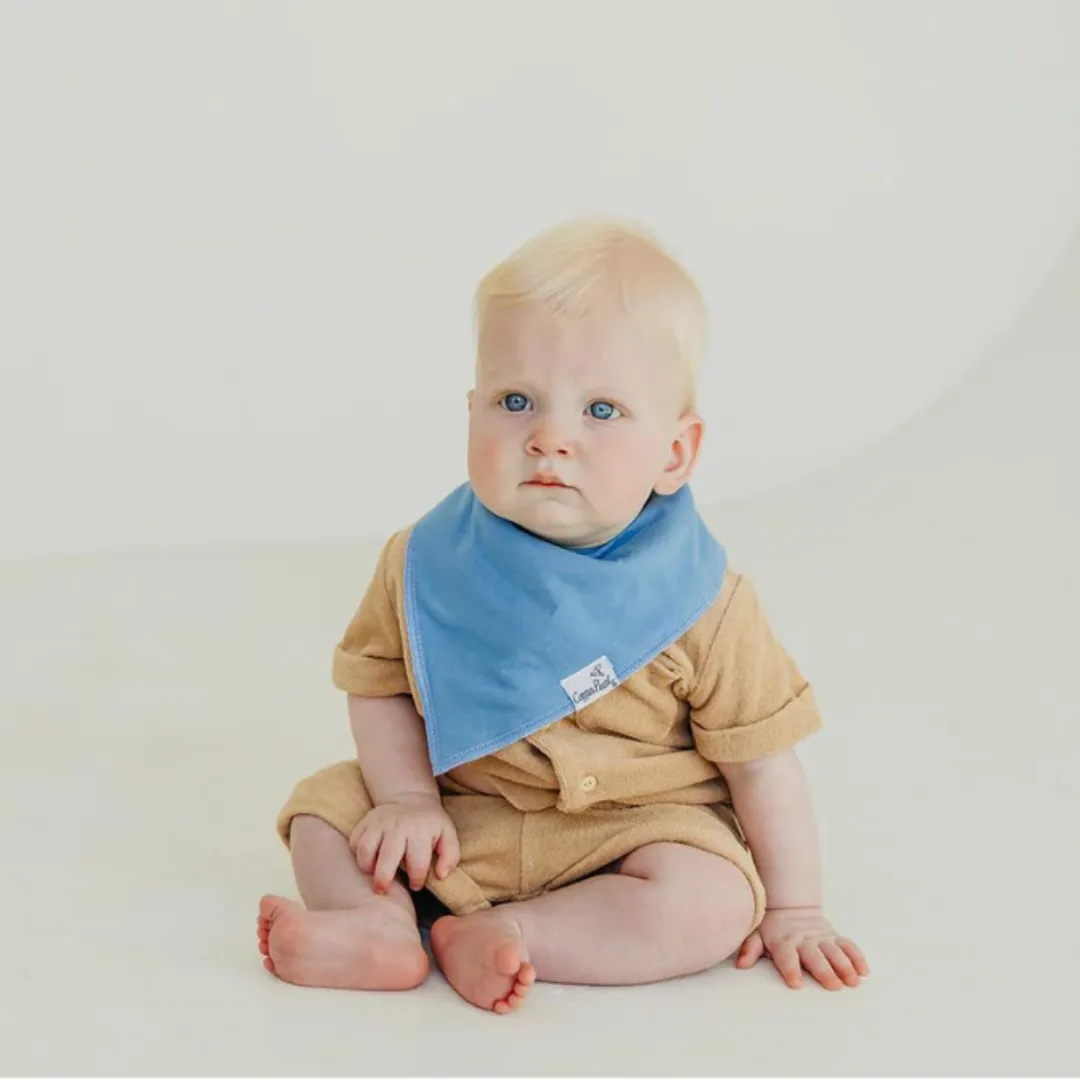 Single Bandana Bib - Veggies by Copper Pearl