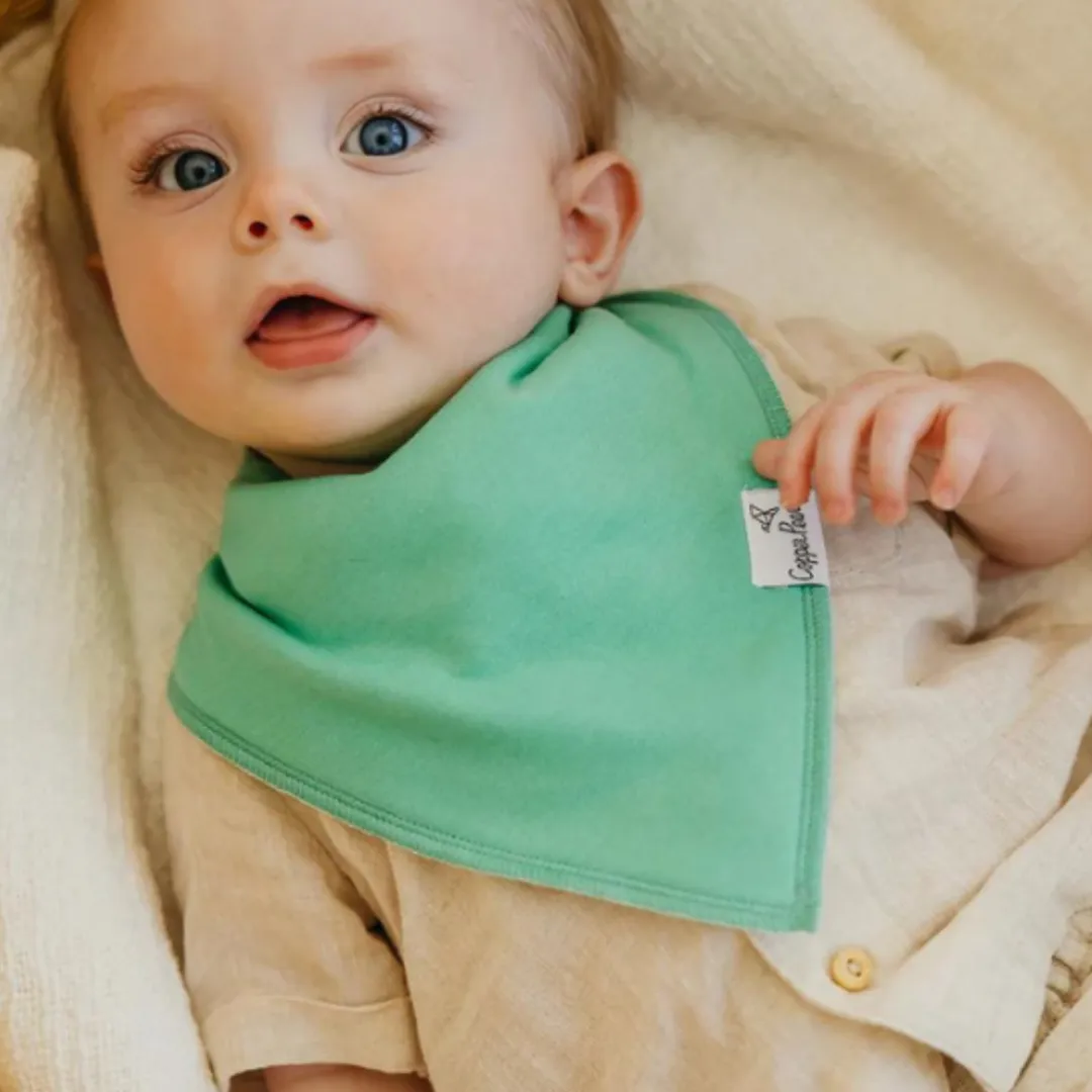 Single Bandana Bib - Veggies by Copper Pearl