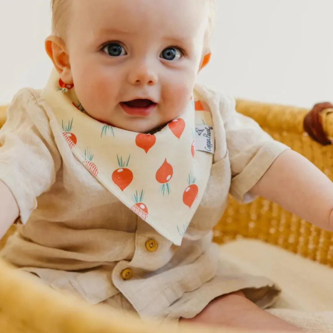Single Bandana Bib - Veggies by Copper Pearl