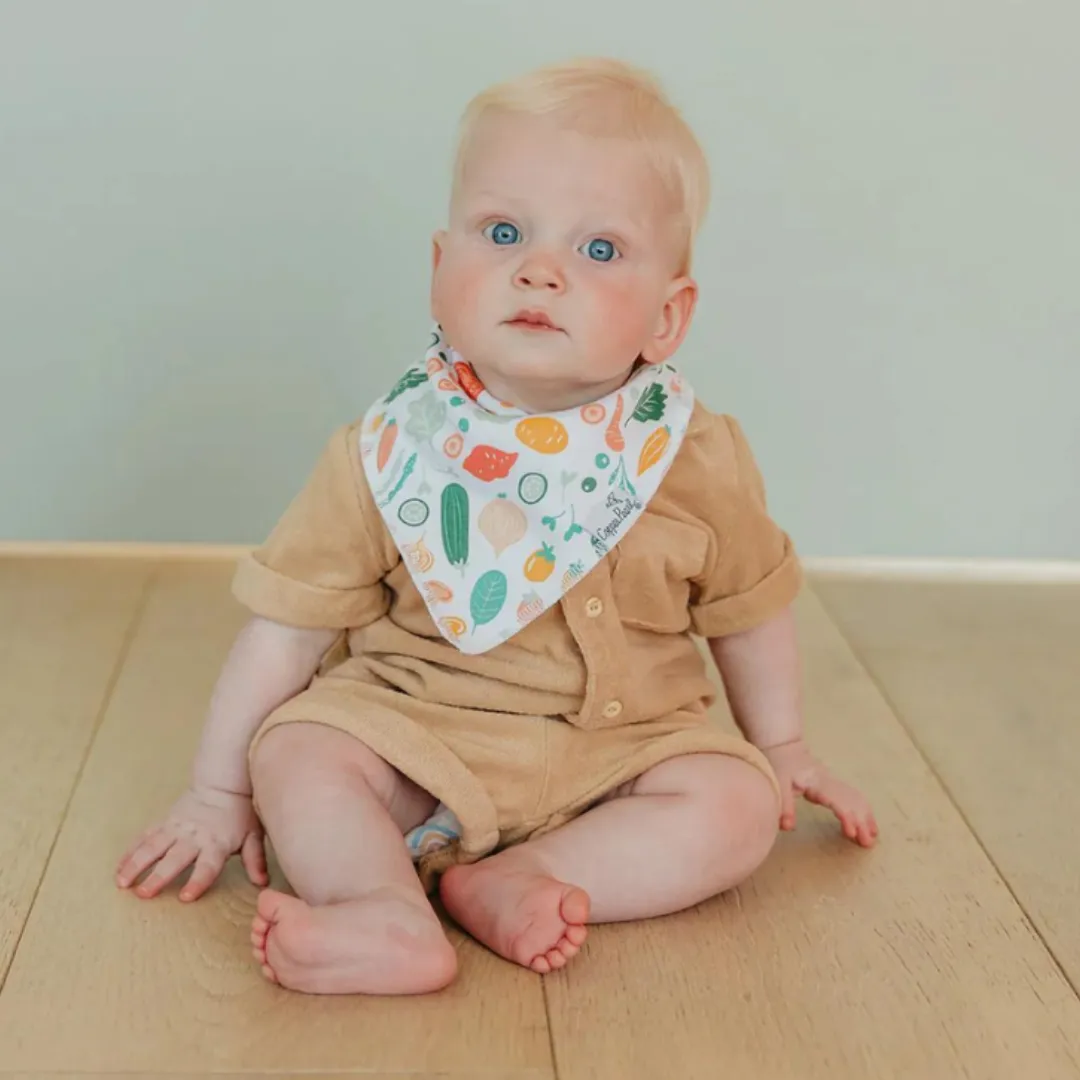 Single Bandana Bib - Veggies by Copper Pearl